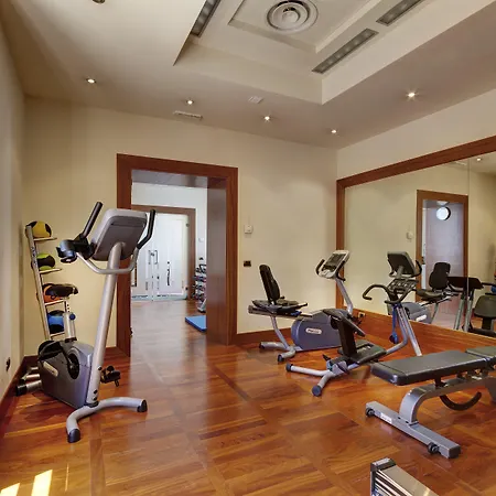 Excelsior Palace فندق